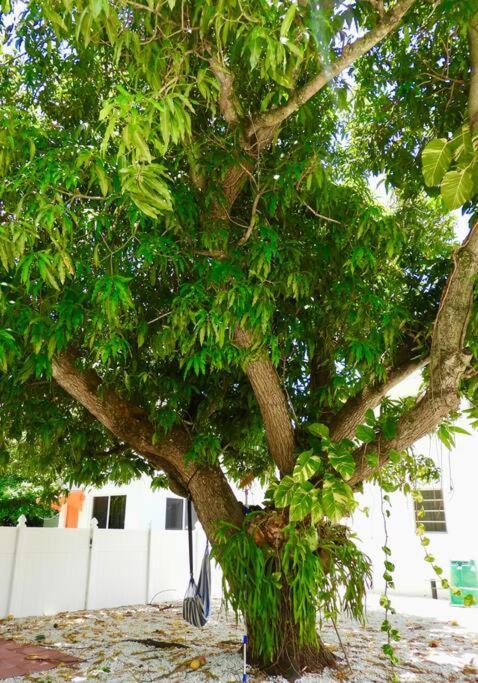 Comfy & Updated Apartment Centrally Located Minutes Away From Everything! Miami Kültér fotó